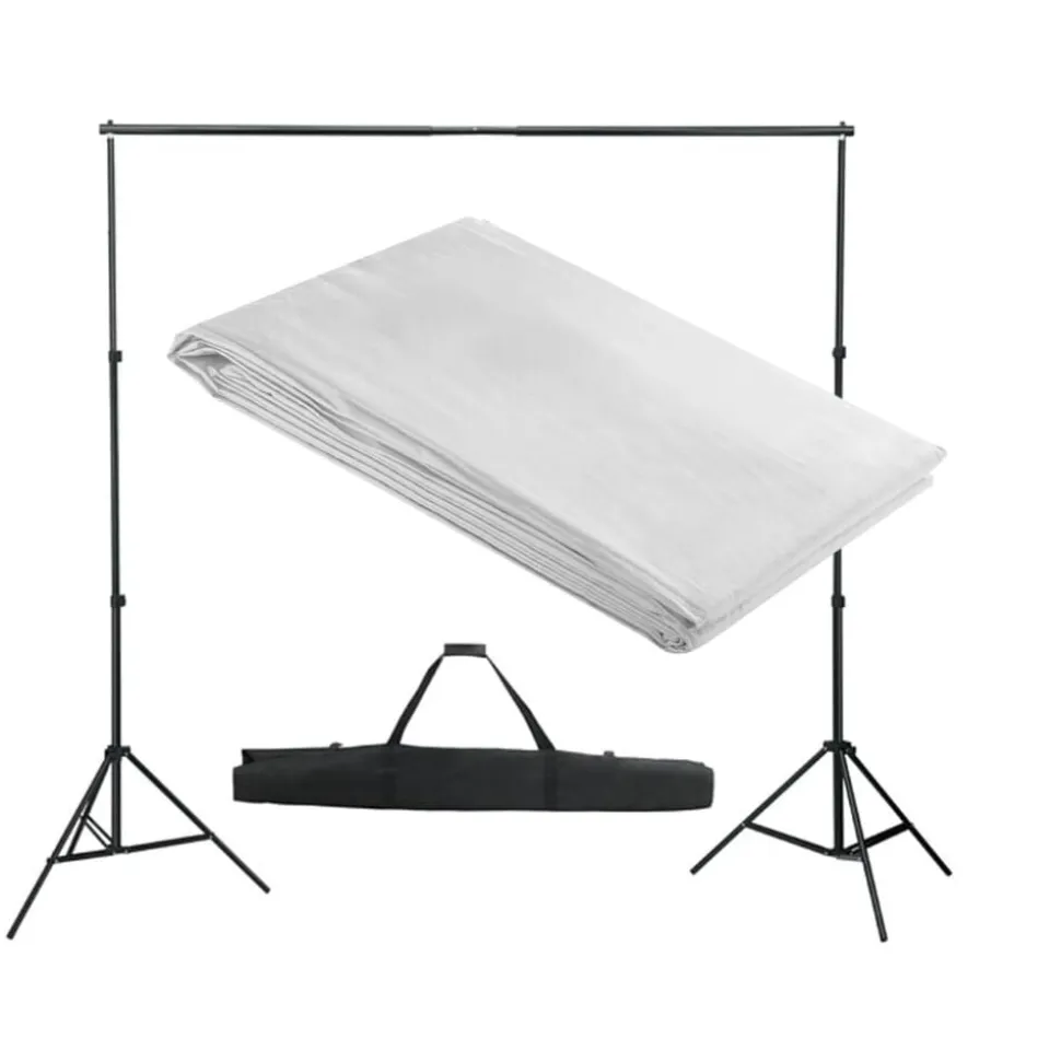 vidaXL Achtergrondsysteem 300x300 cm wit