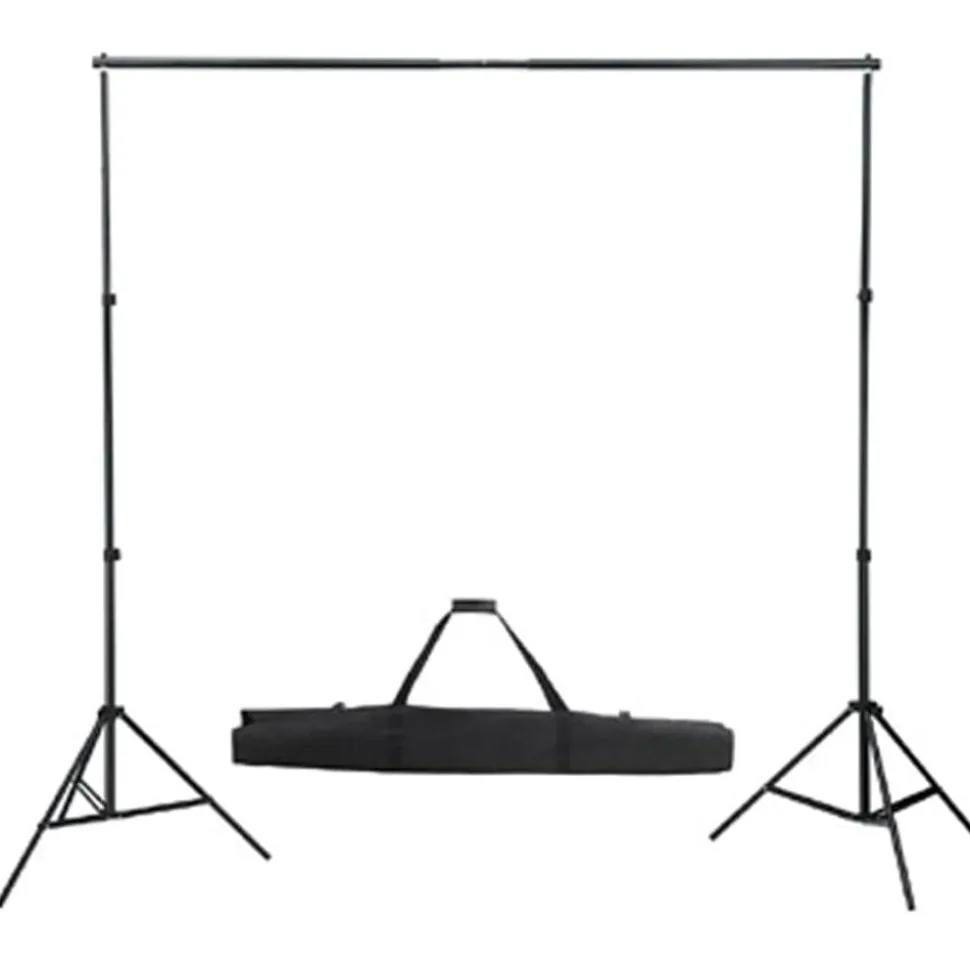 vidaXL Achtergrondsysteem 300x300 cm wit
