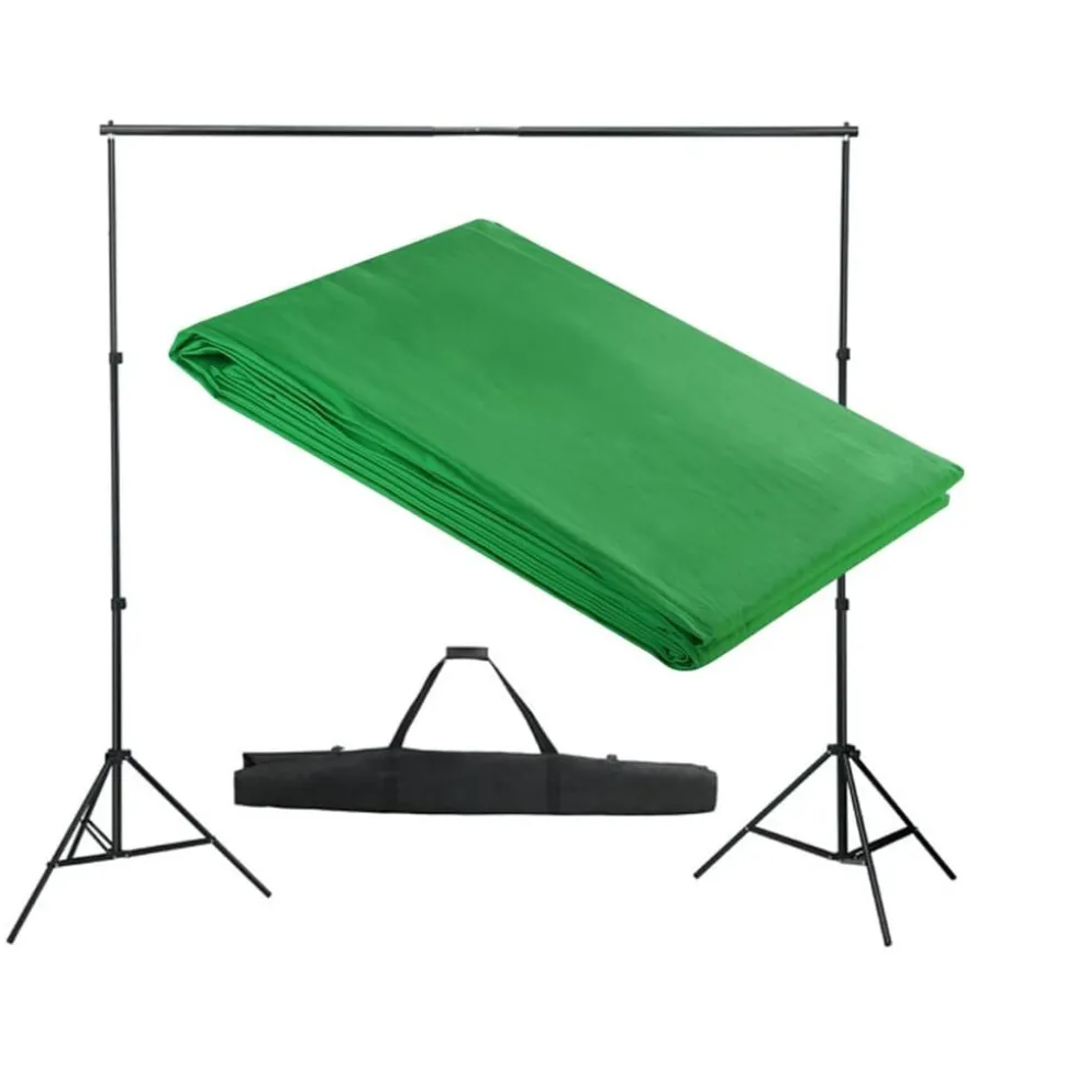 vidaXL Achtergrondsysteem 300x300 cm groen
