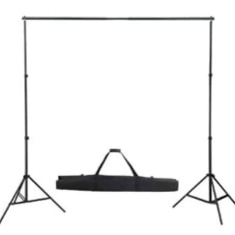 vidaXL Achtergrondsysteem 300x300 cm groen