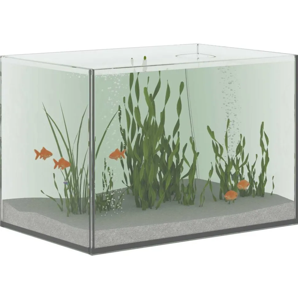 vidaXL Aquarium met opslag Doorzichtig 30 x 20 x 20 cm Glas