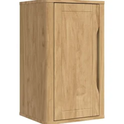 vidaXL Badkamer wandkast met plank FLORO Wasbruin 35 x 30 x 60 cm