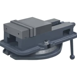 vidaXL Bankschroef draaibaar 160 mm gietijzer