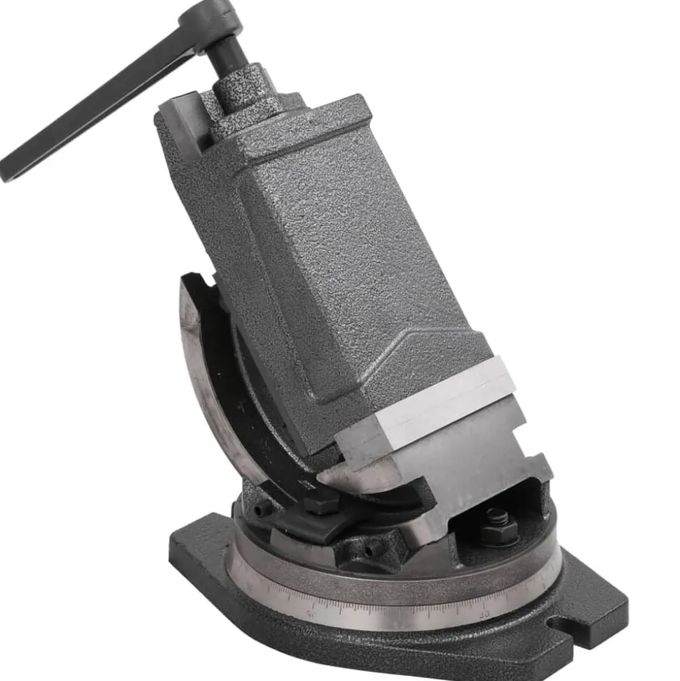 vidaXL Bankschroef met 2 assen kantelbaar 100 mm
