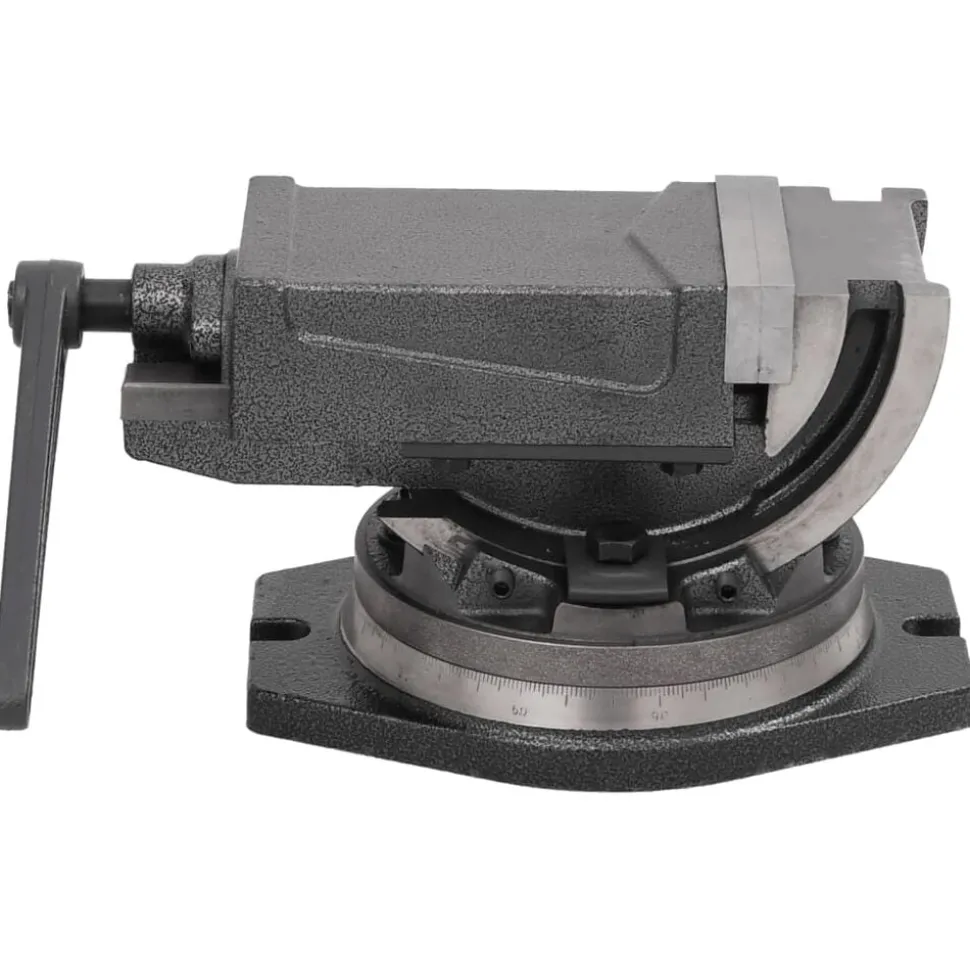 vidaXL Bankschroef met 2 assen kantelbaar 100 mm