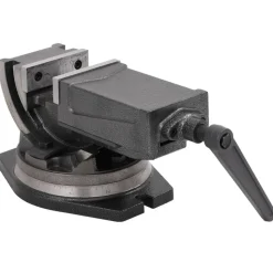 vidaXL Bankschroef met 2 assen kantelbaar 100 mm