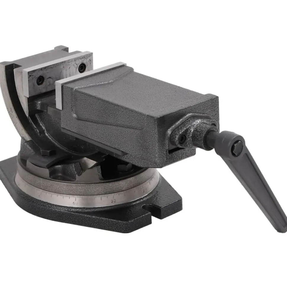 vidaXL Bankschroef met 2 assen kantelbaar 100 mm