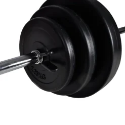 vidaXL Barbell- en dumbbellset 30,5 kg