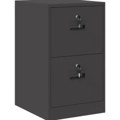 vidaXL Bestandenkast Zwart 44 x 50 x 74,5 cm Koudgewalst Staal