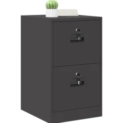 vidaXL Bestandenkast Zwart 44 x 50 x 74,5 cm Koudgewalst Staal