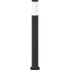 vidaXL Bolderverlichting 80 cm RVS IP44