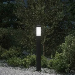 vidaXL Bolderverlichting 80 cm RVS IP44