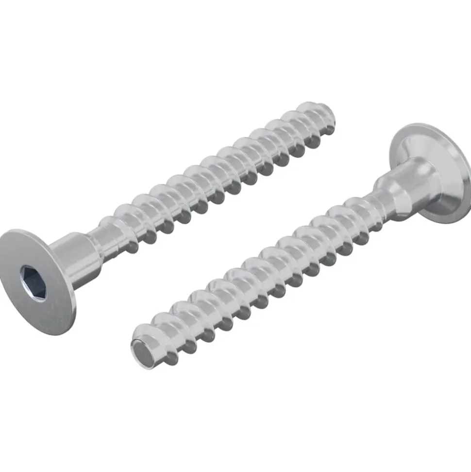 vidaXL Bout 2 pcs Verzinkt 5 x 40 mm IJzer