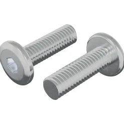 vidaXL Bout 2 pcs Zilver 8 x 25 mm Staal