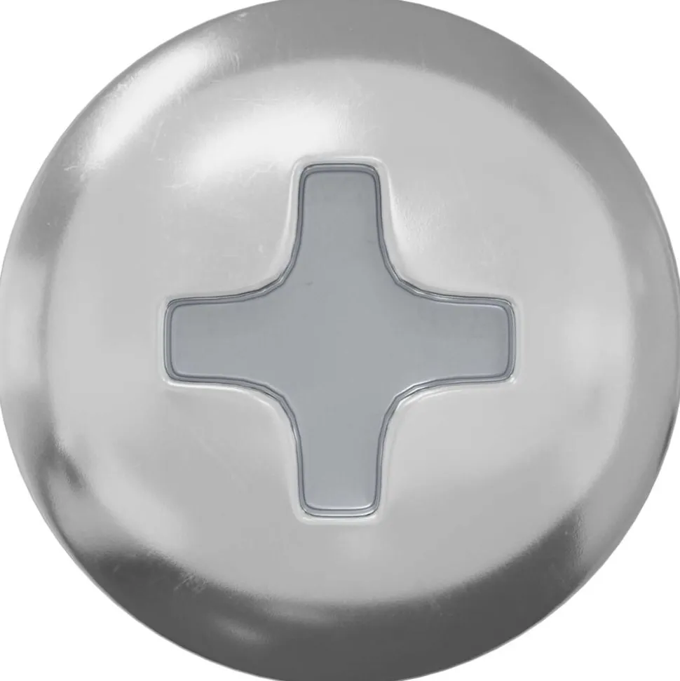 vidaXL Bout 2 pcs Zilver 9,8 x 35 mm IJzer