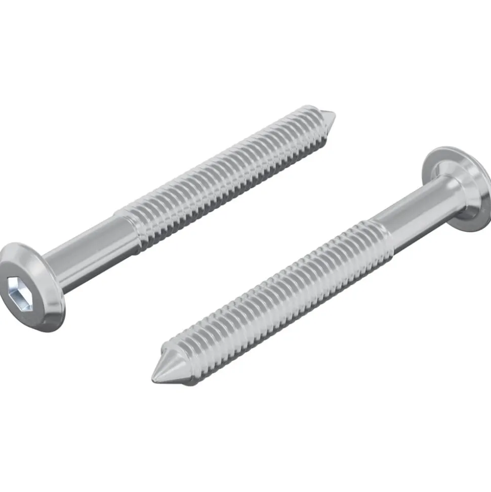 vidaXL Bout 2 pcs Zilver M6 x 50 mm Staal