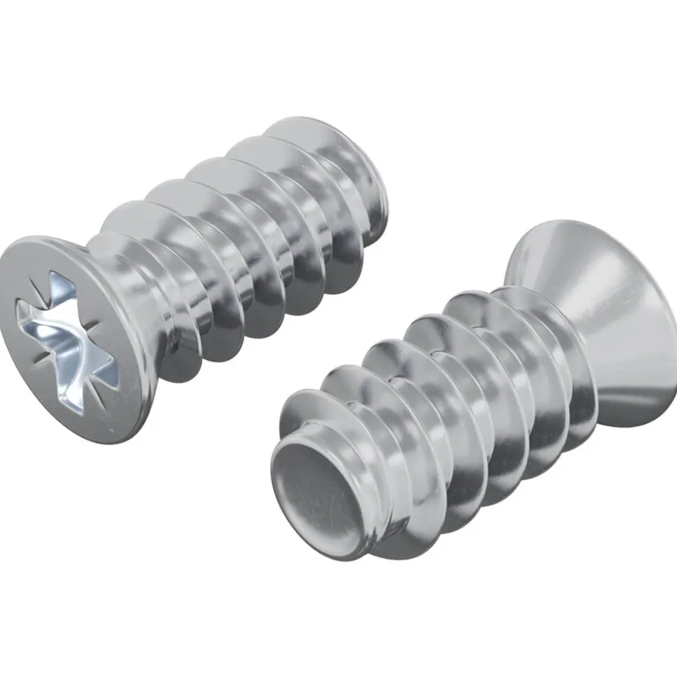 vidaXL Bout 2 pcs Zilver M6 x 12 mm IJzer