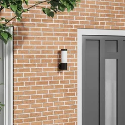 vidaXL Buiten Wandlamp Zwart 12 x 8,5 x 27 cm