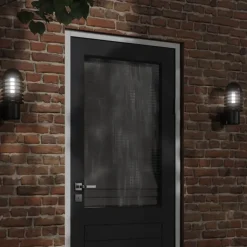 vidaXL Buitenwandlamp roestvrij staal zwart