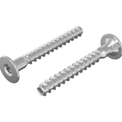 vidaXL Confirmatschroeven 2 pcs Zilver Ø5 x 40 mm Metaal