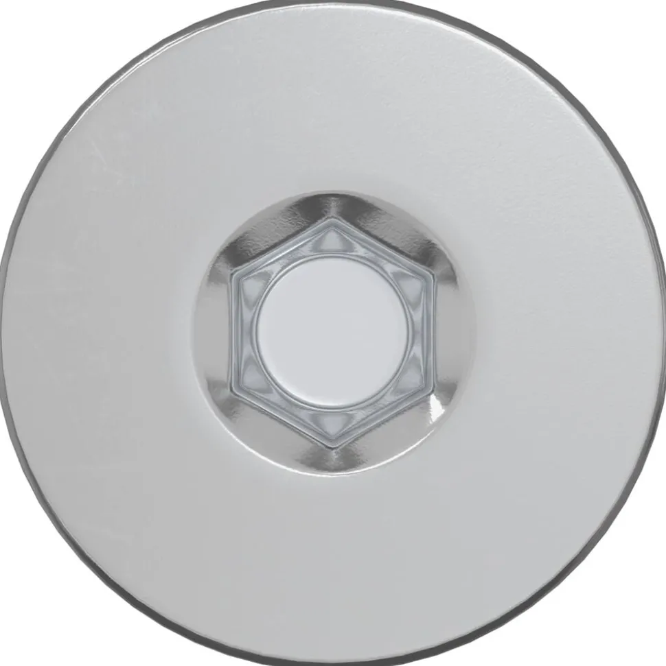 vidaXL Confirmatschroeven 2 pcs Zilver Ø5 x 40 mm Metaal