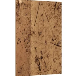 vidaXL Decorpanelen 12 pcs Oudhout 30 x 42 x 0.27 cm Bewerkt hout