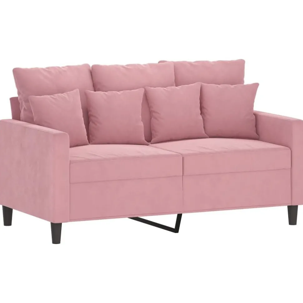 vidaXL 2-delige Loungeset met kussens fluweel roze