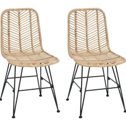 vidaXL Eetkamerstoel 2 pcs Naturel 44 x 47 x 85 cm Riet en IJzer
