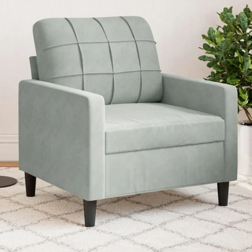 vidaXL Fauteuil 60 cm fluweel lichtgrijs