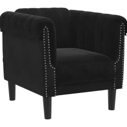 vidaXL Fauteuil fluweel zwart