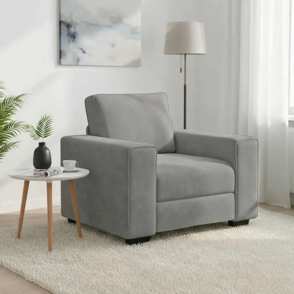 vidaXL Fauteuil 100x77x82 cm fluweel lichtgrijs
