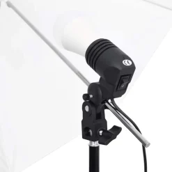 vidaXL Fotostudioset met verlichtingsset en achtergrond