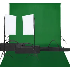 vidaXL Fotostudioset met verlichtingsset en achtergrond