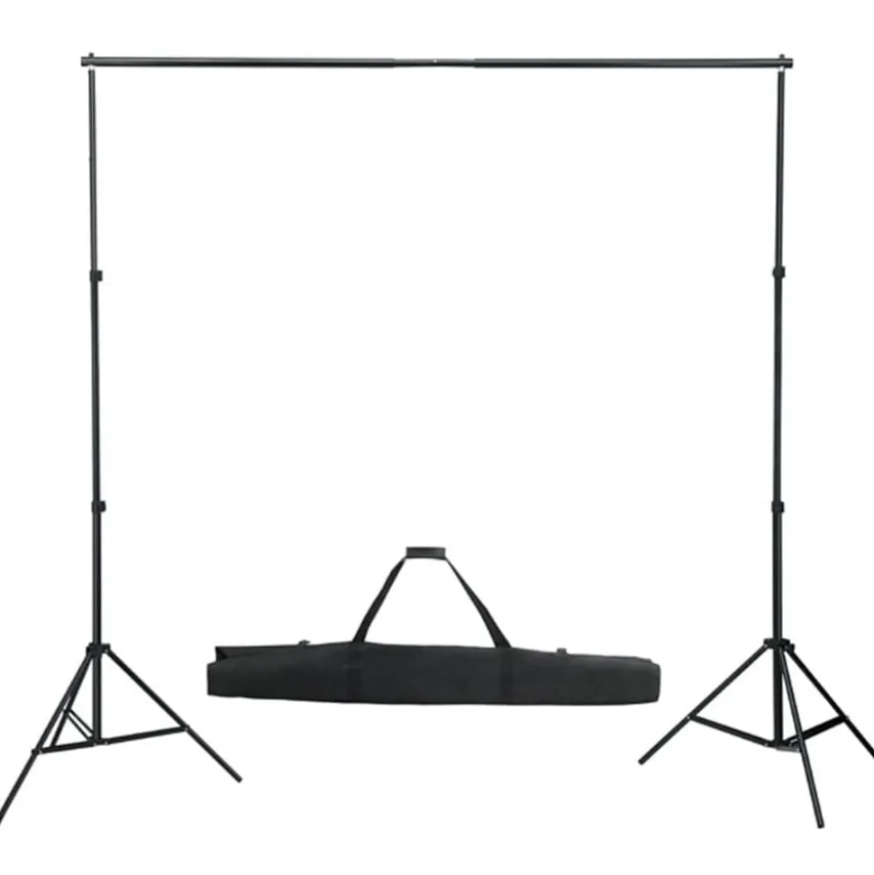 vidaXL Fotostudioset met verlichtingsset en achtergrond
