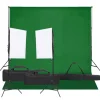 vidaXL Fotostudioset met verlichtingsset en achtergrond