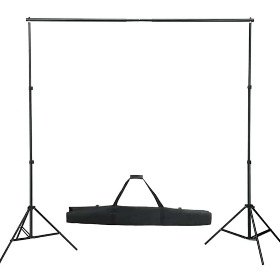 vidaXL Fotostudioset met verlichtingsset en achtergrond