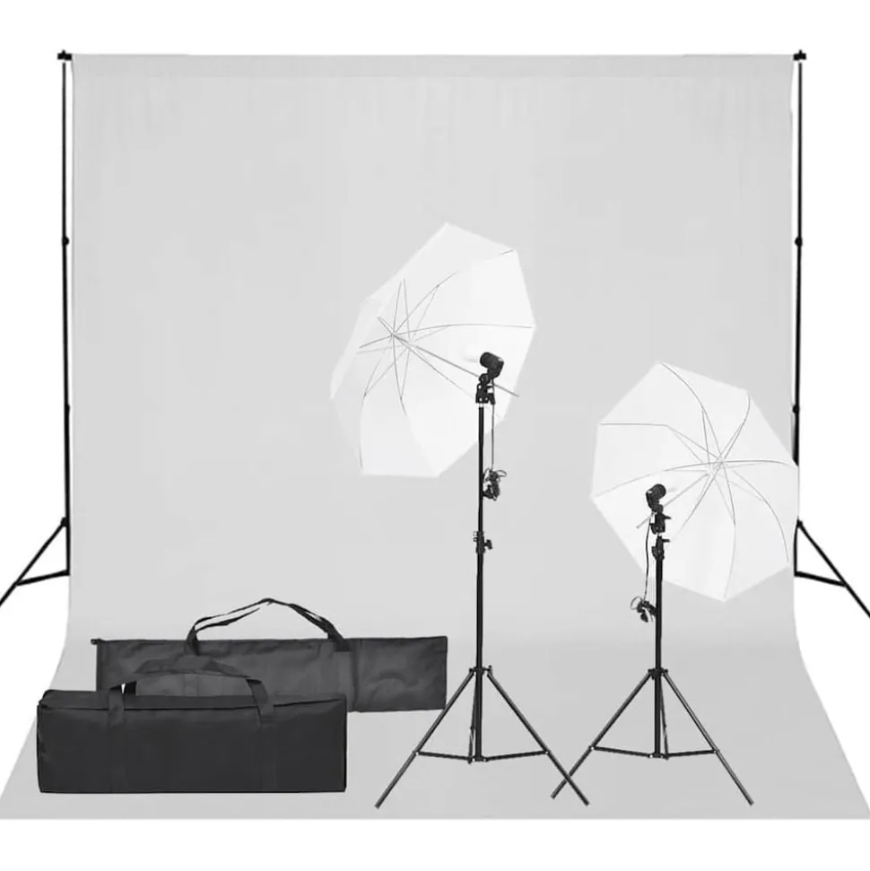 vidaXL Fotostudioset met verlichtingsset en achtergrond