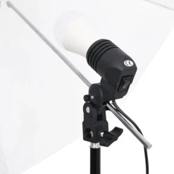vidaXL Fotostudioset met verlichtingsset en achtergrond