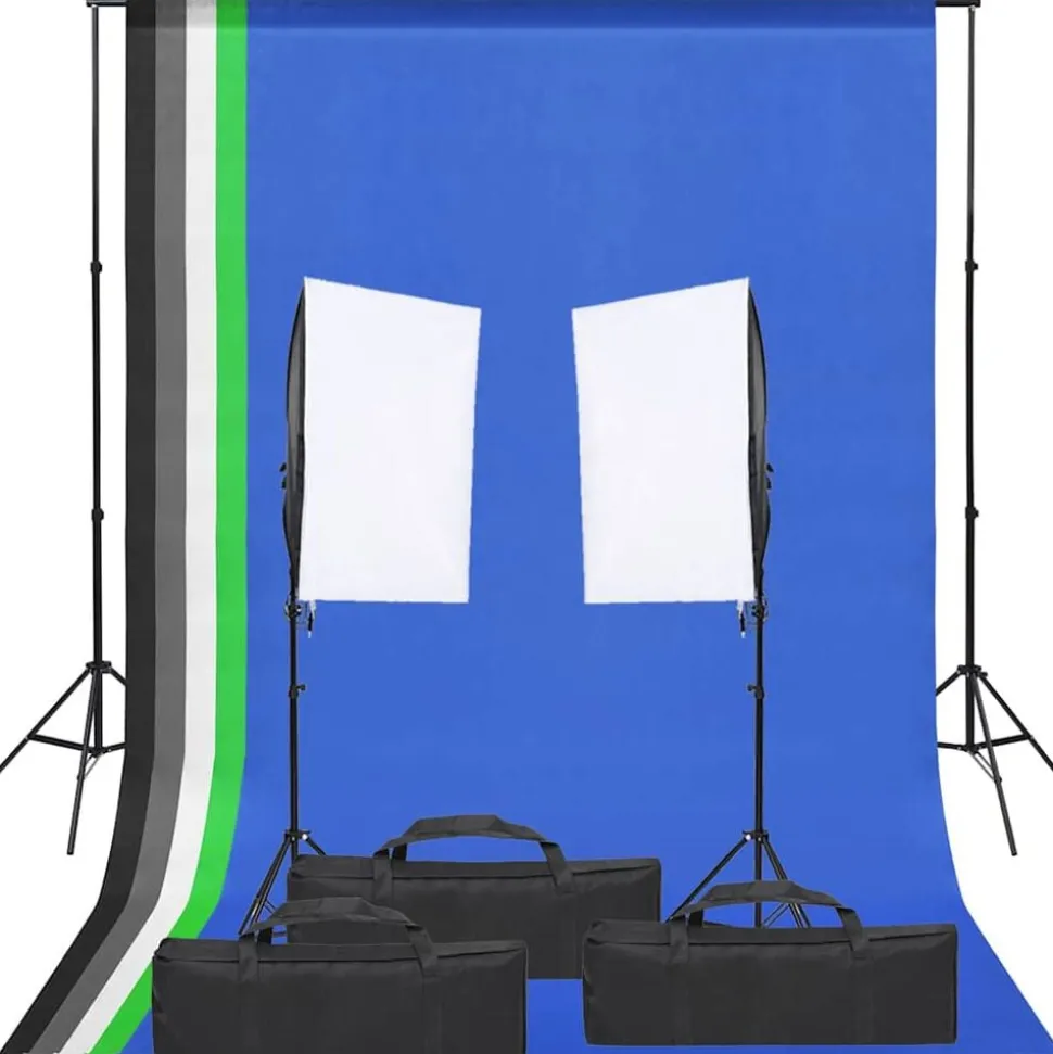 vidaXL Fotostudioset met verlichtingsset en achtergrond