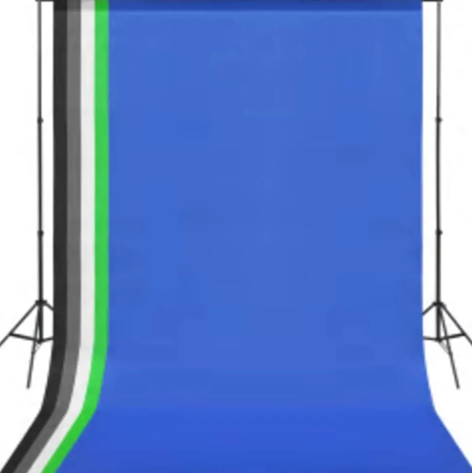 vidaXL Fotostudioset met verlichtingsset en achtergrond