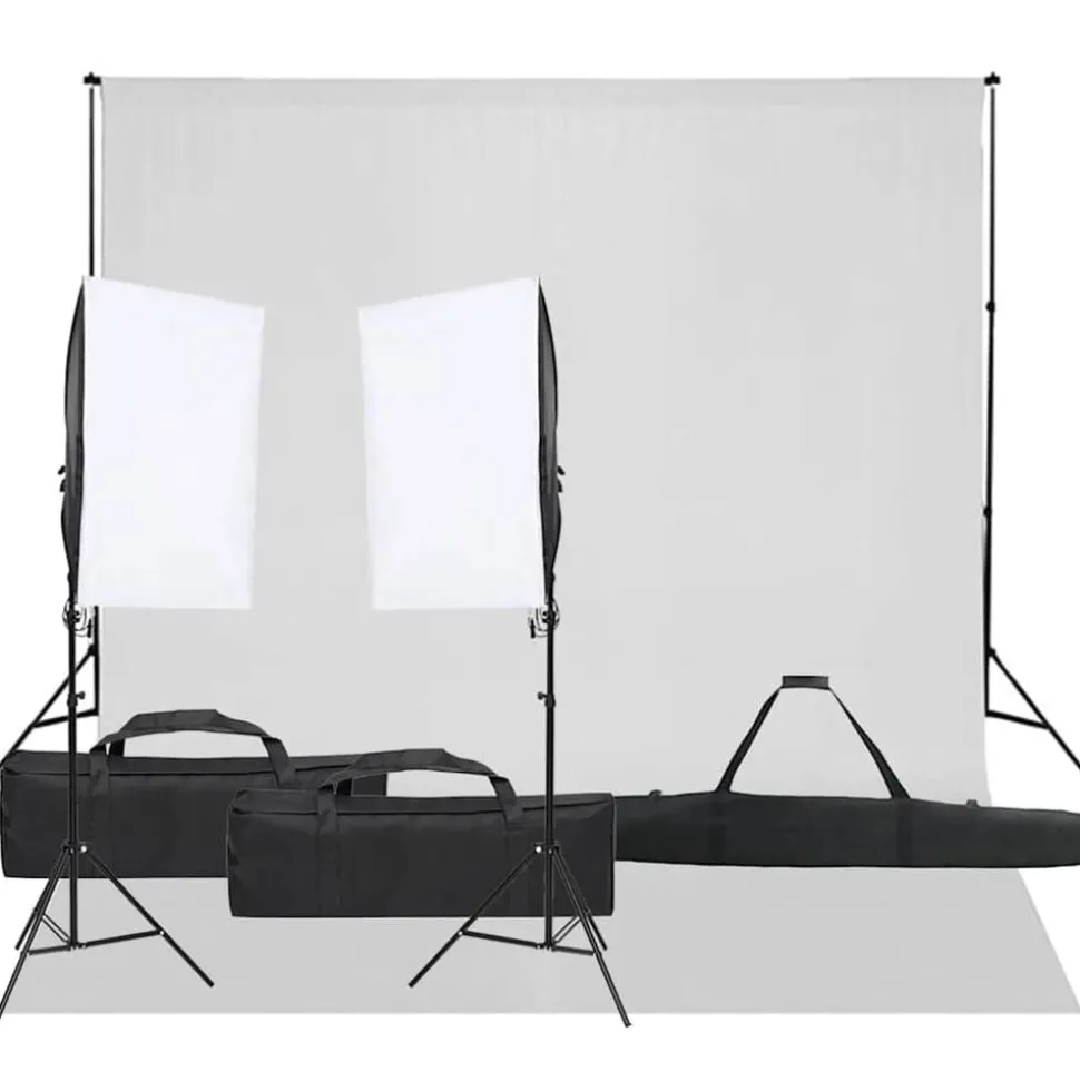 vidaXL Fotostudioset met verlichtingsset en achtergrond