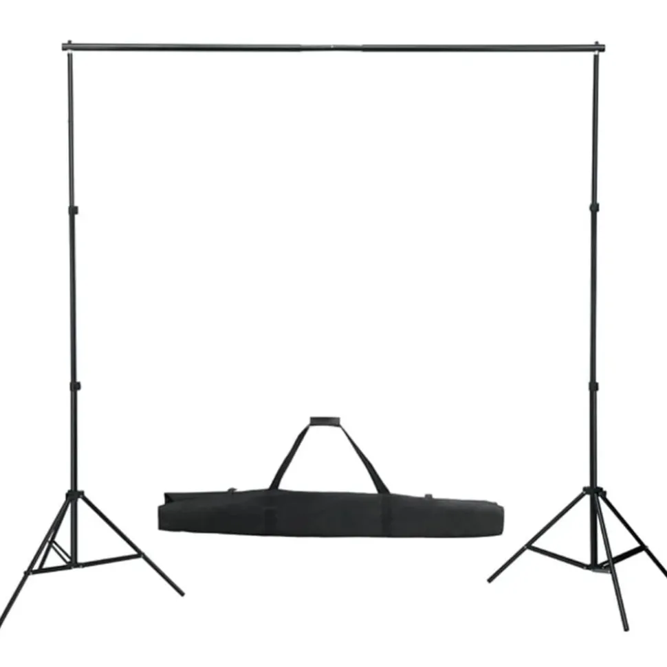 vidaXL Fotostudioset met verlichtingsset en achtergrond