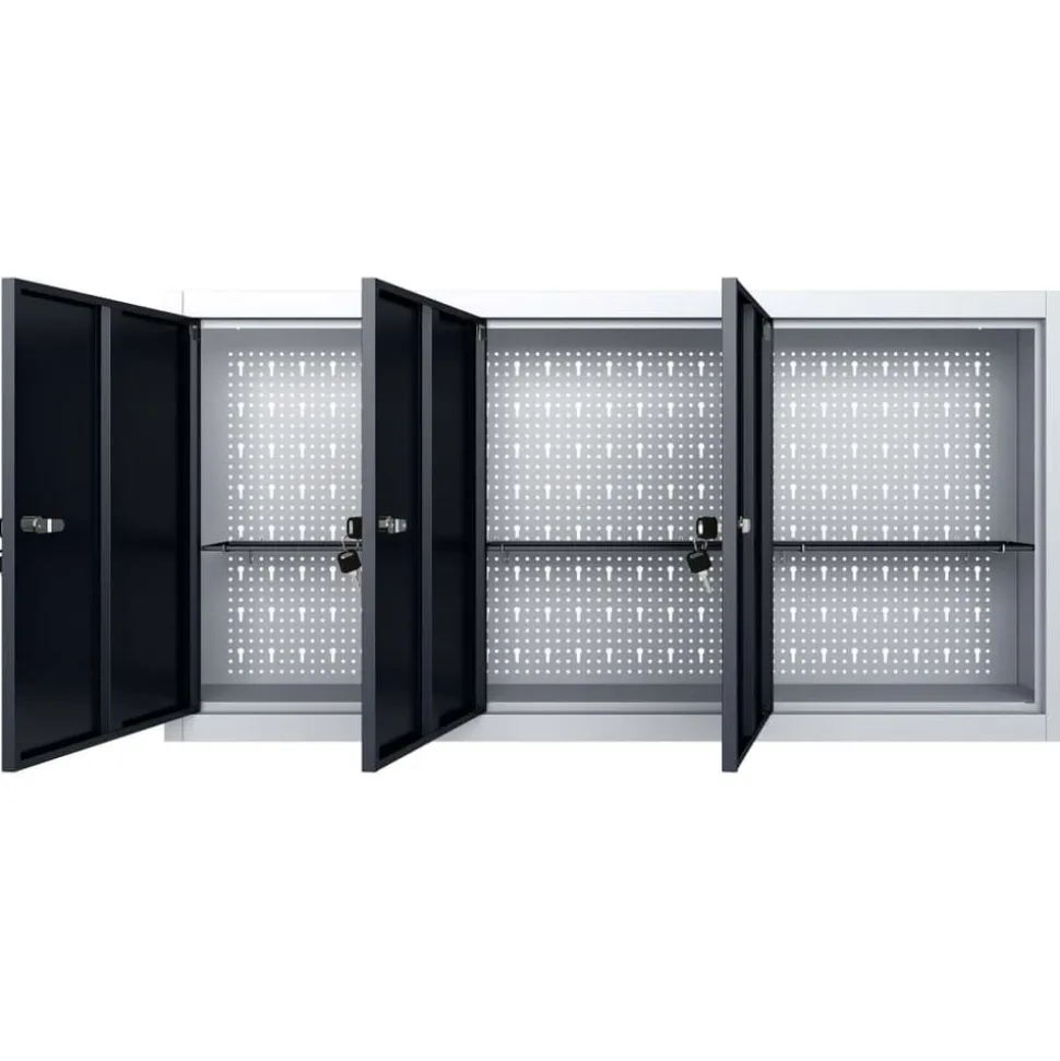 vidaXL Gereedschapskast voor aan de wand metaal grijs en zwart