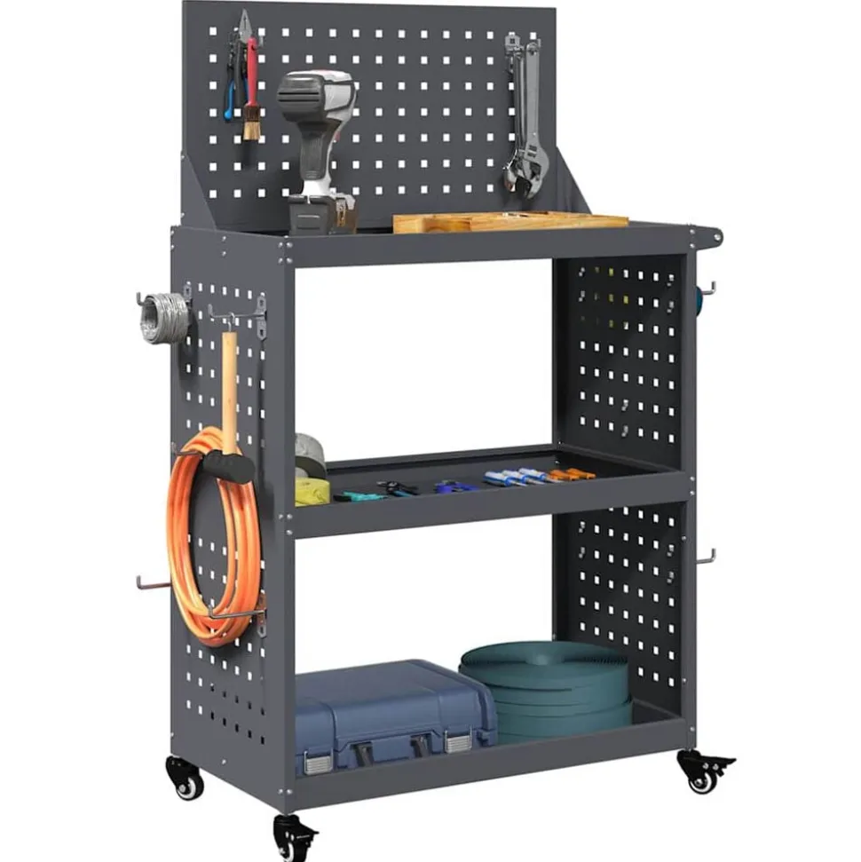 vidaXL Gereedschapswagen Antraciet 65 x 35 x 111 cm Koudgewalst staal