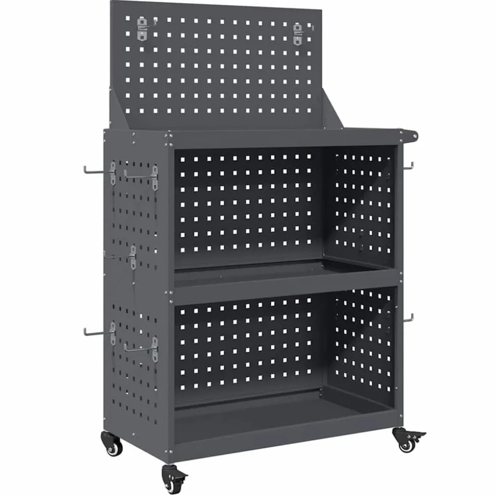vidaXL Gereedschapswagen Antraciet 65 x 35 x 111 cm Koudgewalst staal