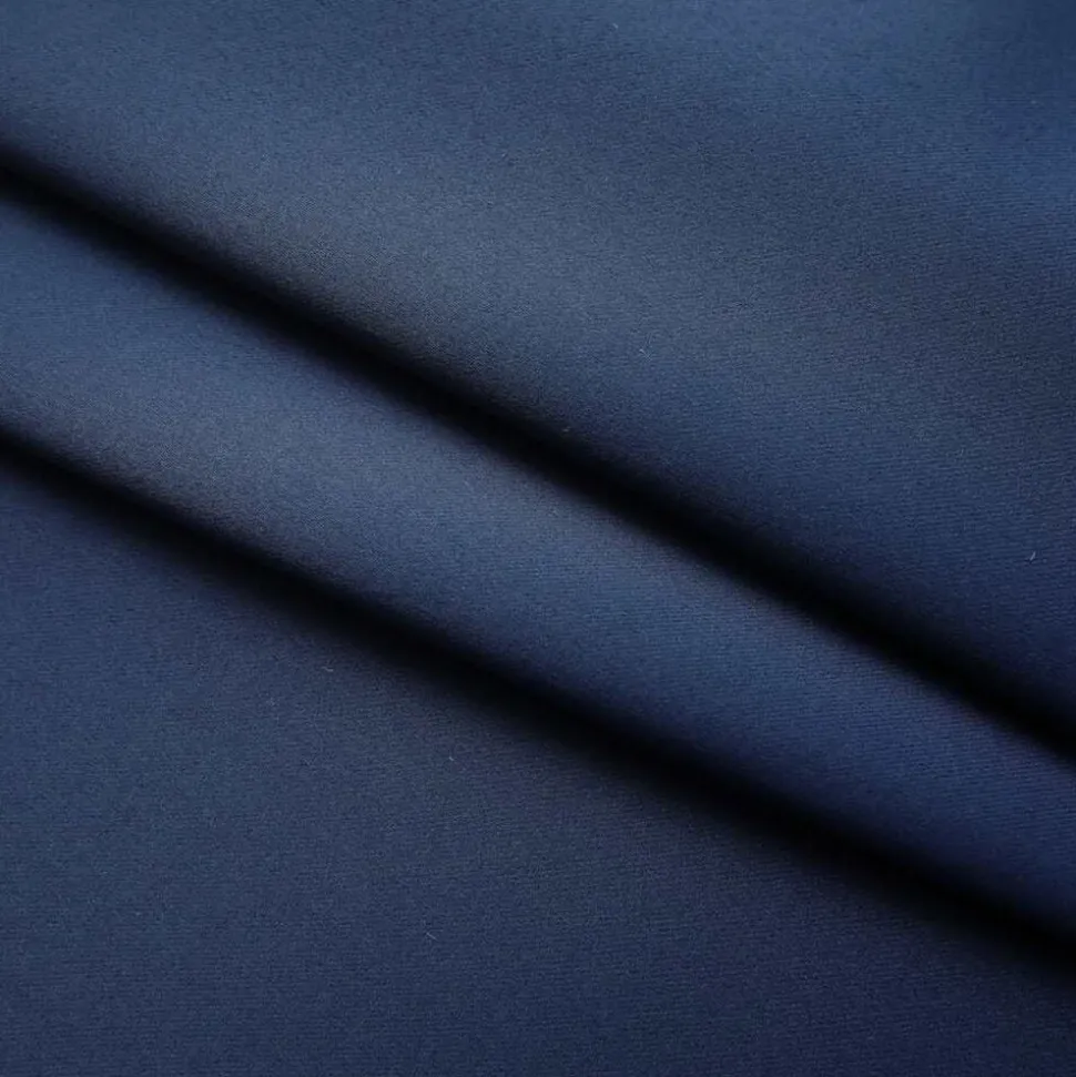 vidaXL Gordijn verduisterend met haken 290x245 cm blauw