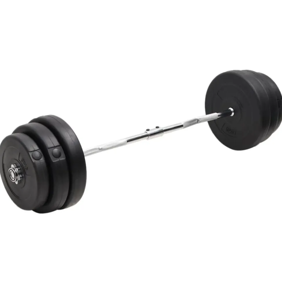 vidaXL Halter gebogen met gewichten 90 kg