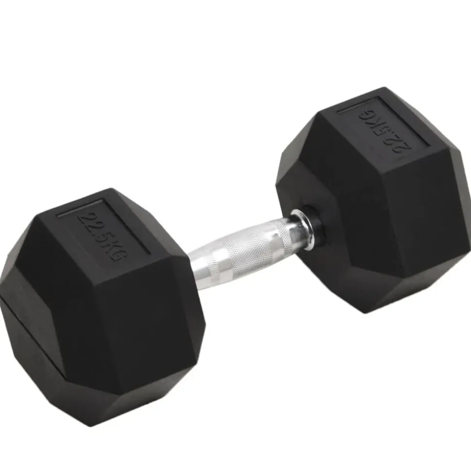 vidaXL Halters 22,5 kg gietijzer