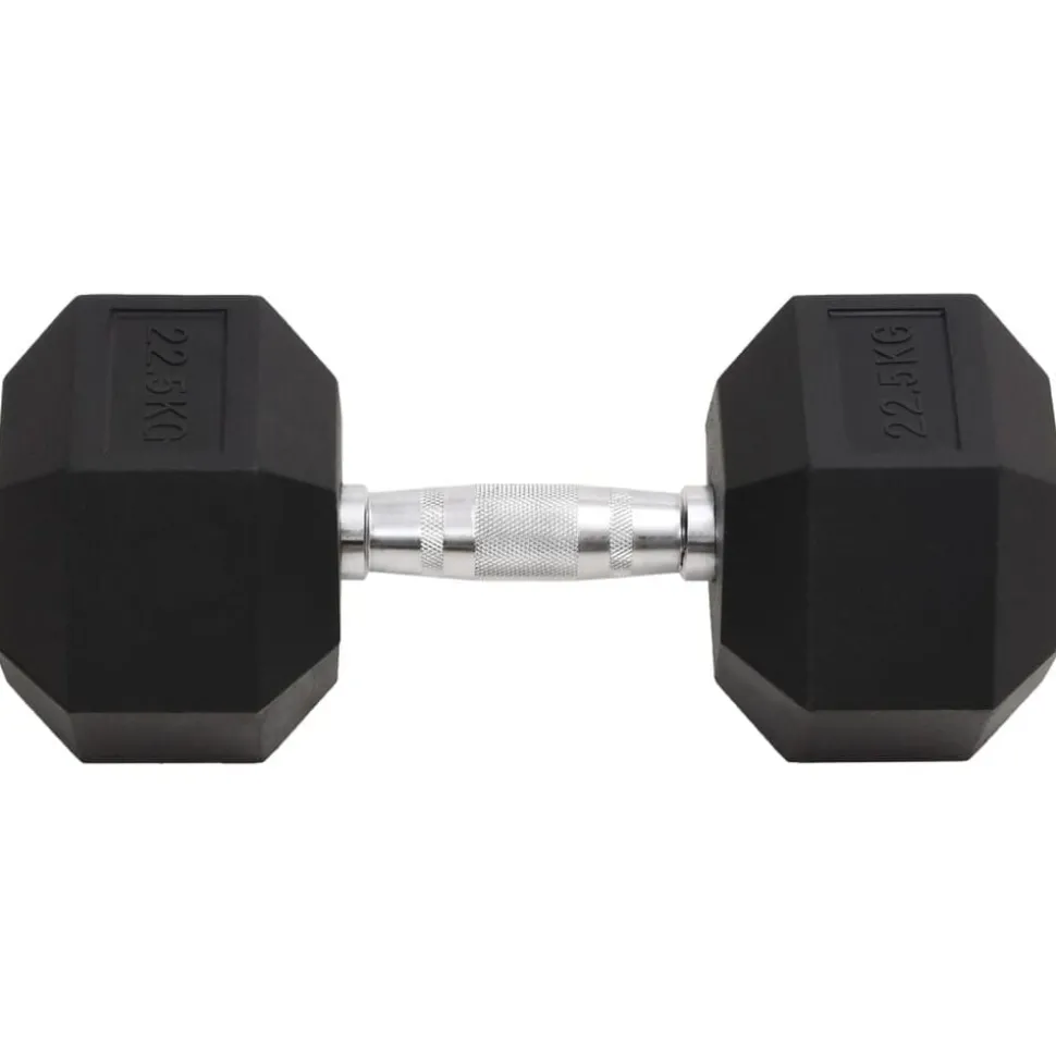 vidaXL Halters 22,5 kg gietijzer