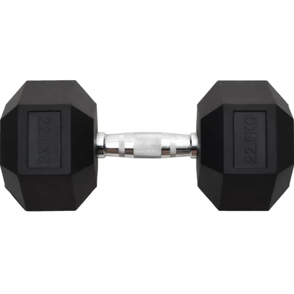 vidaXL Halters 22,5 kg gietijzer
